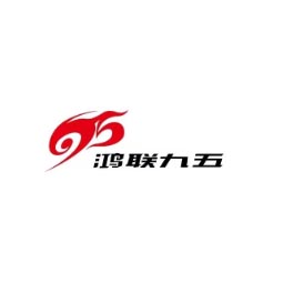 德州鸿联九五信息科技有限公司logo