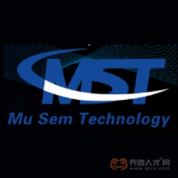 迈世腾科技（山东）有限公司logo