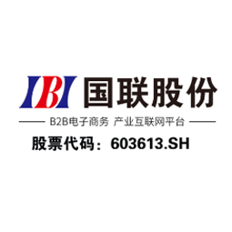 北京国联视讯信息技术股份有限公司logo