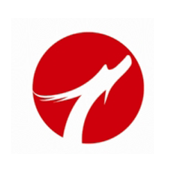 山东天龙控股集团有限公司logo