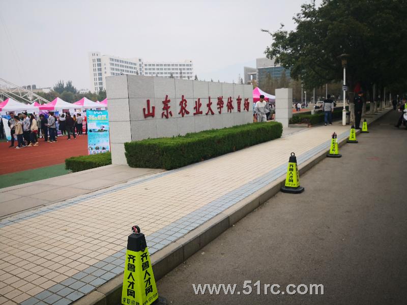 山东农业大学2018年校园招聘会