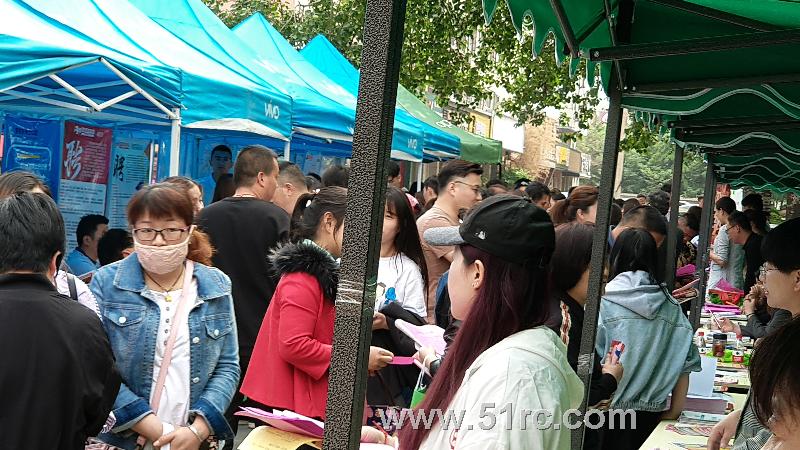 5月5日莱芜区人才招聘会盛大举行中